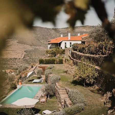 Quinta Da Gricha Hotell Ervedosa do Douro Eksteriør bilde