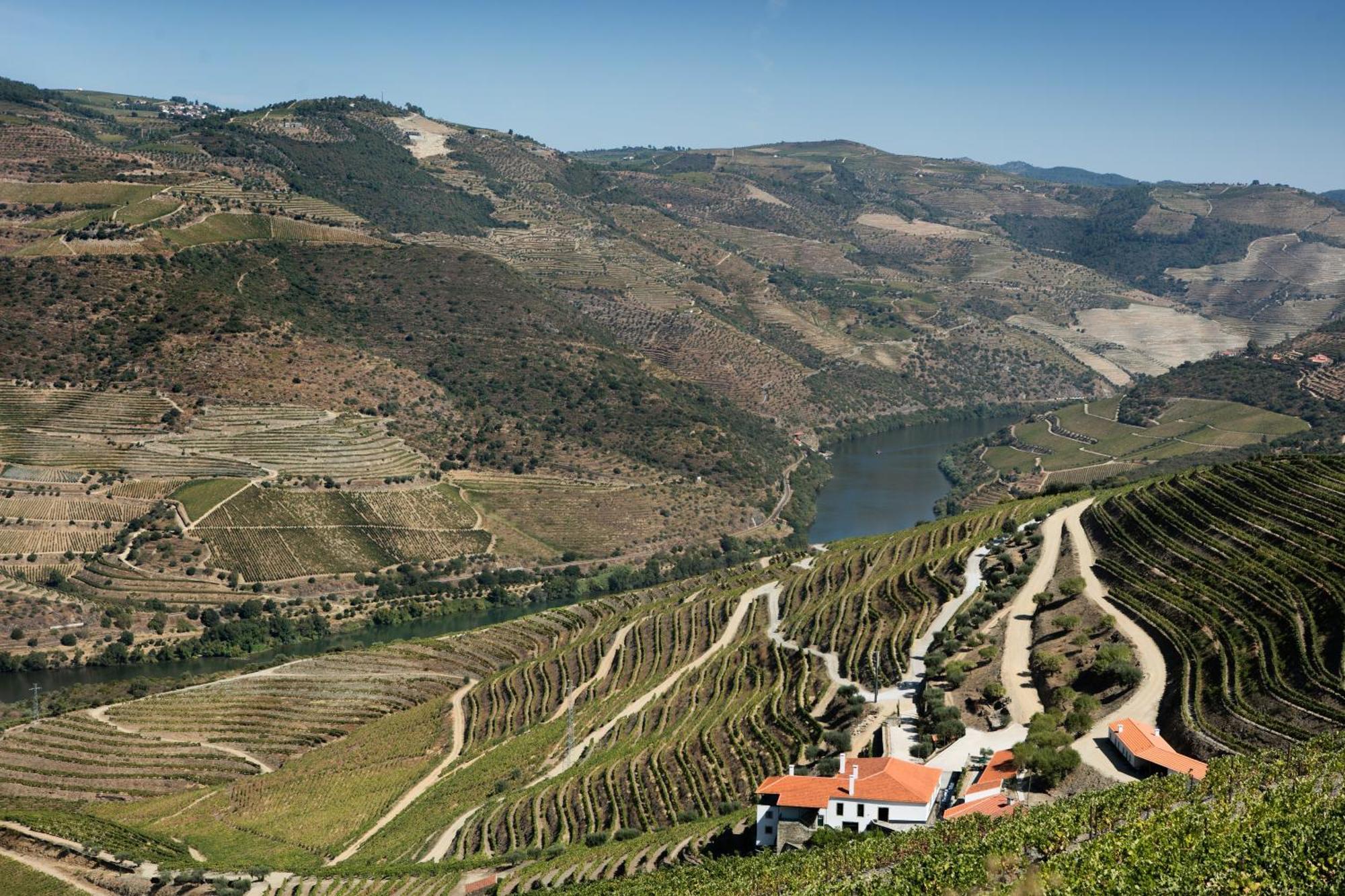 Quinta Da Gricha Hotell Ervedosa do Douro Eksteriør bilde