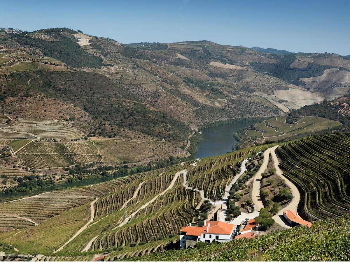 Quinta Da Gricha Hotell Ervedosa do Douro Eksteriør bilde