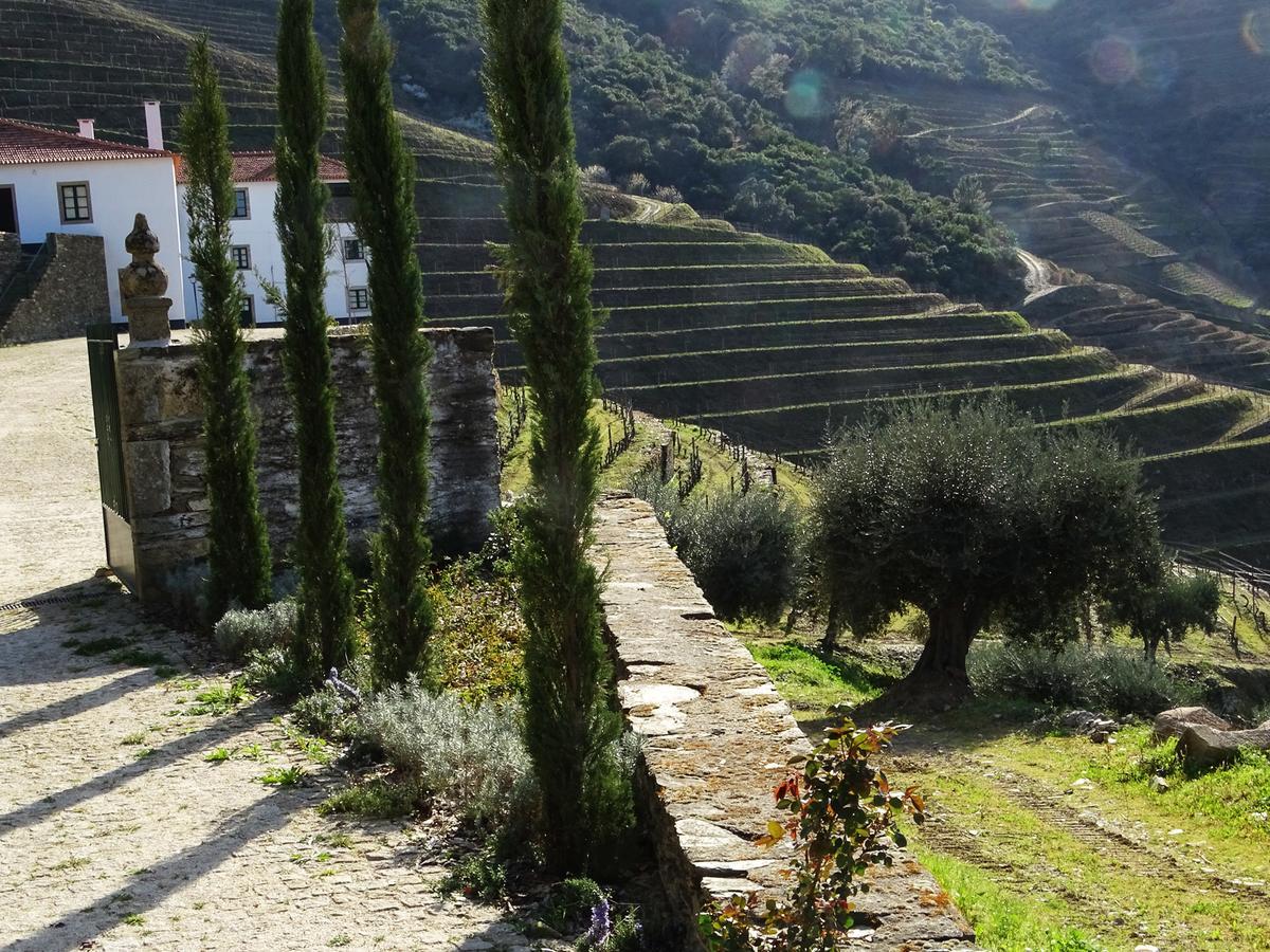 Quinta Da Gricha Hotell Ervedosa do Douro Eksteriør bilde