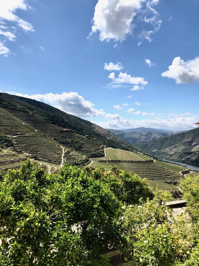 Quinta Da Gricha Hotell Ervedosa do Douro Eksteriør bilde