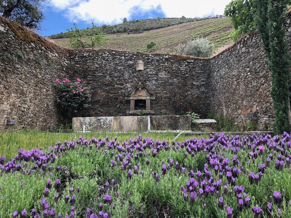 Quinta Da Gricha Hotell Ervedosa do Douro Eksteriør bilde