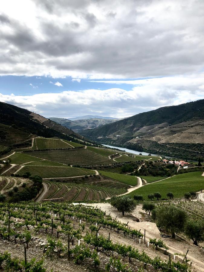Quinta Da Gricha Hotell Ervedosa do Douro Eksteriør bilde